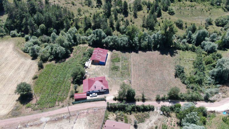 HASTALANAN KIZLARI İÇİN  YENİ HAYAT KURDULAR - 5