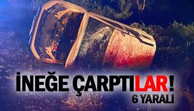 İNEĞE ÇARPTILAR!  6 YARALI