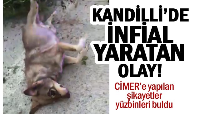 KANDİLLİ’DE İNFİAL  YARATAN OLAY!