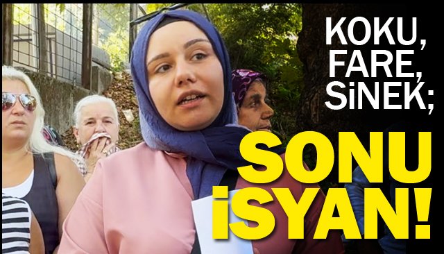 KOKU, FARE, SİNEK; SONU İSYAN!