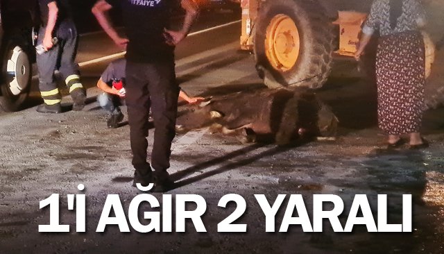 MANDALAR ÇARPTI