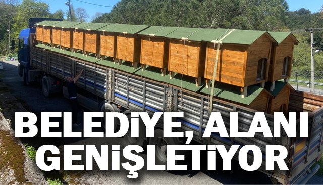 MERKEZ  12,5 DÖNÜME  ULAŞACAK