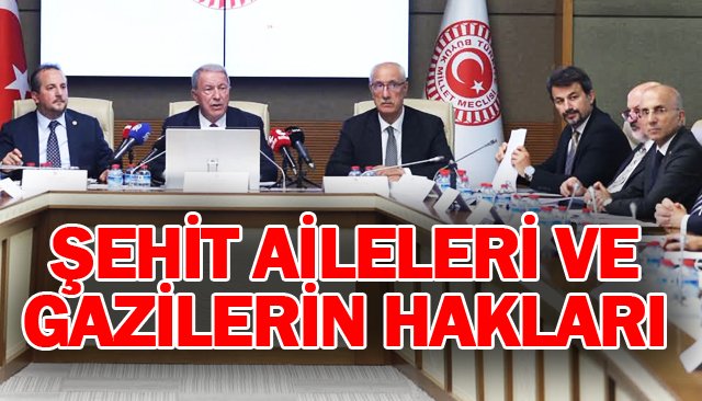 ŞEHİT AİLELERİ VE  GAZİLERİN HAKLARI