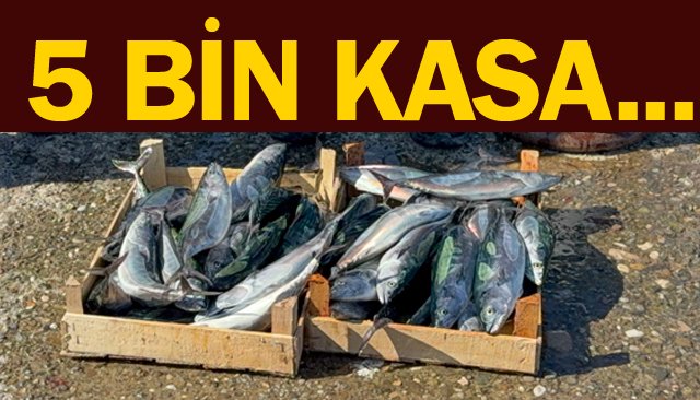 AVA ÇIKAN BALIKÇILAR  LİMANA DÖNDÜ