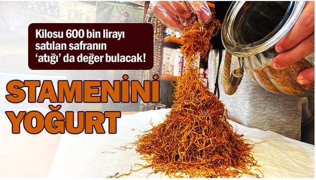 Fonksiyonel yoğurt üretilecek