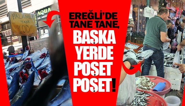 NASIL OLUYOR BU İŞ!
