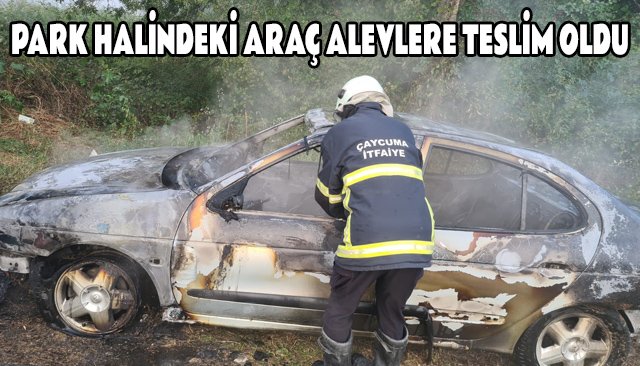PARK HALİNDEKİ ARAÇ ALEVLERE TESLİM OLDU