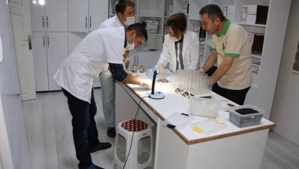 Biyolojik mücadele için, modern laboratuvar